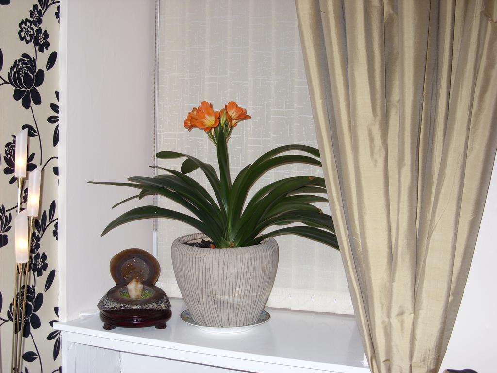 Alba Guest House 阿伯丁 外观 照片