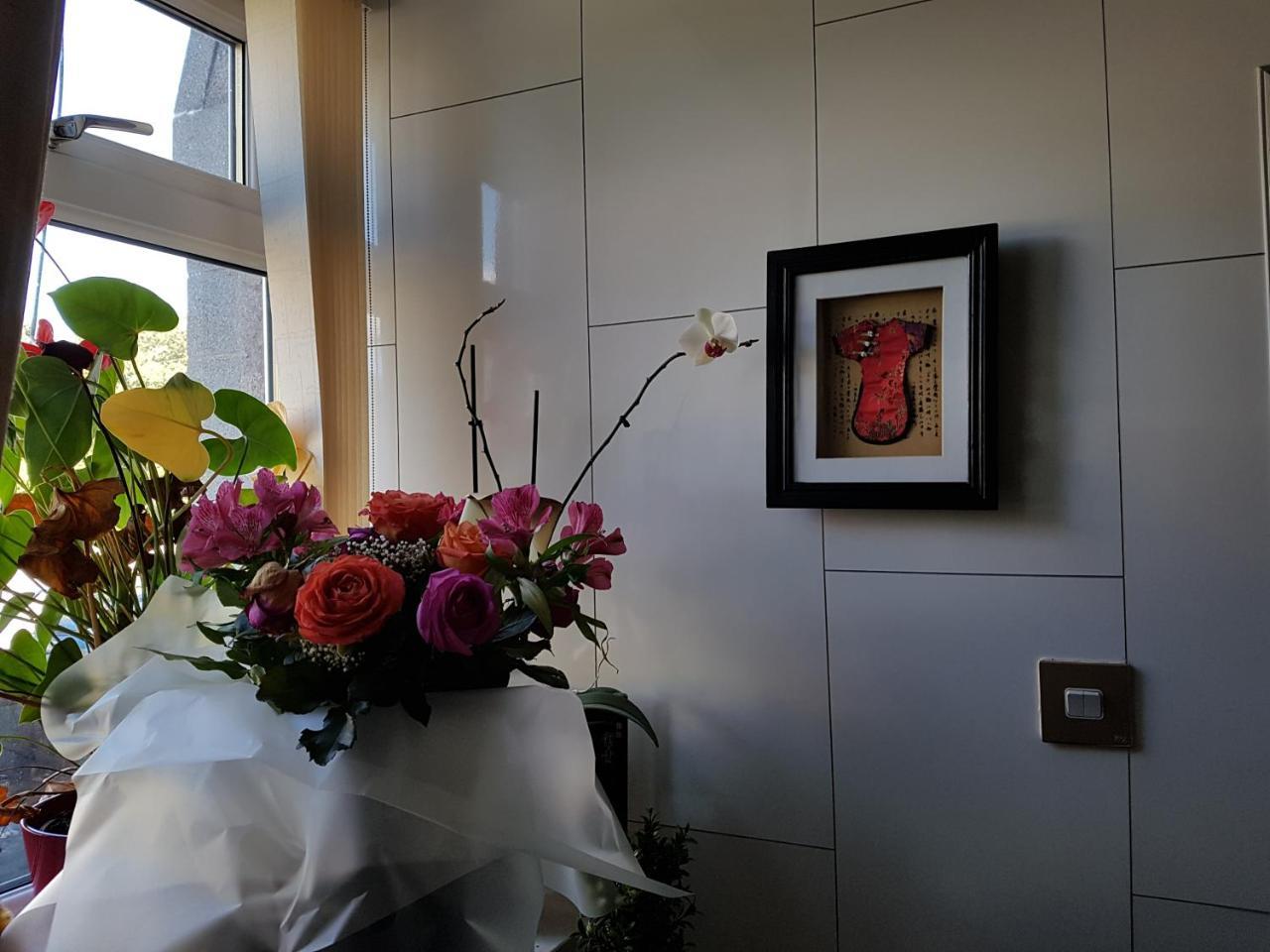 Alba Guest House 阿伯丁 外观 照片